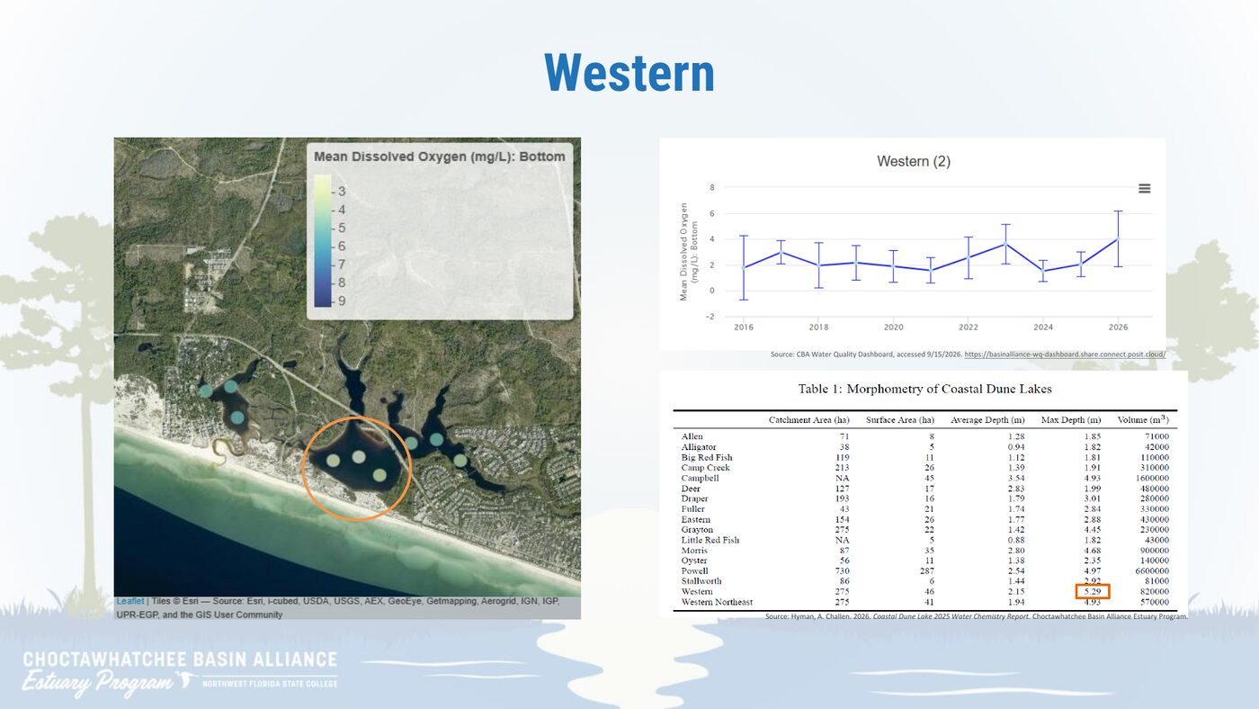 CBA Water Quality Dashboard chart for Western Lake, included in the 2025 water chemistry update.