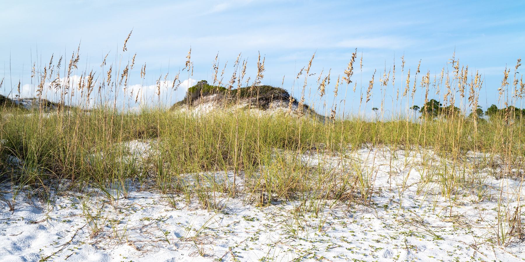 Gulf beach and primary dunes at Topsail Hill Preserve State Park