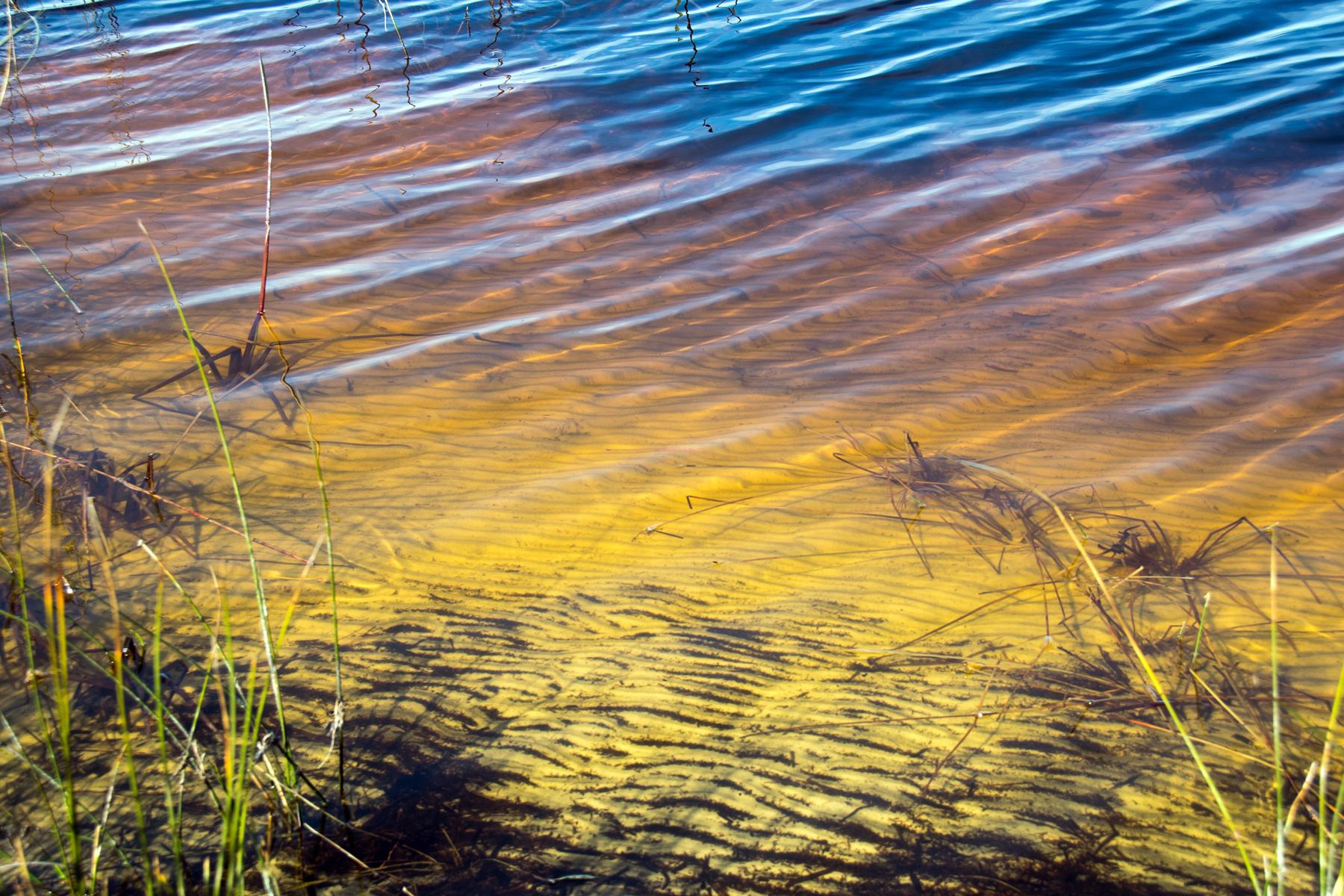 Shore of Western Lake at Grayton Beach State Park